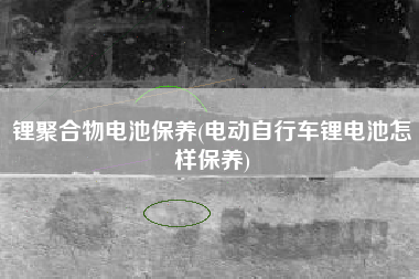 锂聚合物电池保养(电动自行车锂电池怎样保养)