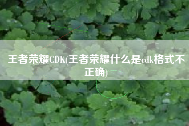 王者荣耀CDK(王者荣耀什么是cdk格式不正确)