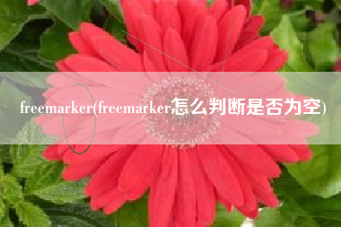 freemarker(freemarker怎么判断是否为空)