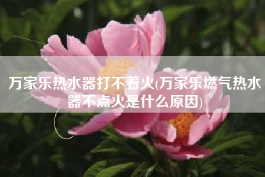 万家乐热水器打不着火(万家乐燃气热水器不点火是什么原因)