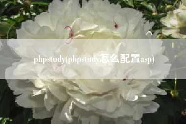 phpstudy(phpstudy怎么配置asp)