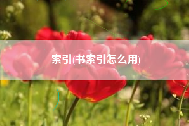 索引(书索引怎么用)