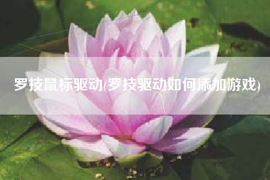 罗技鼠标驱动(罗技驱动如何添加游戏)
