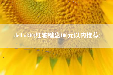 dell a840(红轴键盘100元以内推荐)