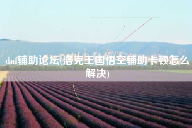 dnf辅助论坛(洛克王国悟空辅助卡顿怎么解决)