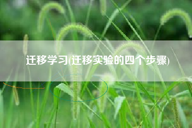 迁移学习(迁移实验的四个步骤)