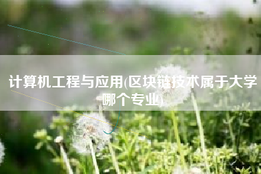 计算机工程与应用(区块链技术属于大学哪个专业)