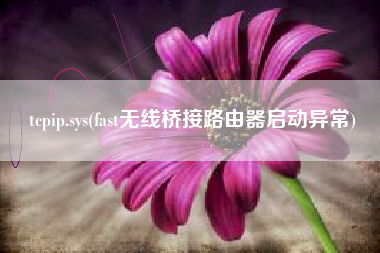tcpip.sys(fast无线桥接路由器启动异常)