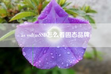 as ssd(asSSD怎么看固态品牌)