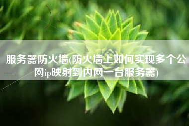 服务器防火墙(防火墙上如何实现多个公网ip映射到内网一台服务器)