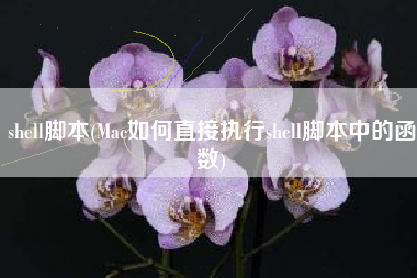 shell脚本(Mac如何直接执行shell脚本中的函数)