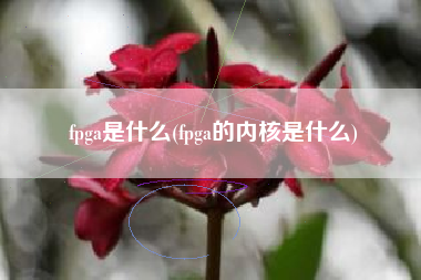 fpga是什么(fpga的内核是什么)