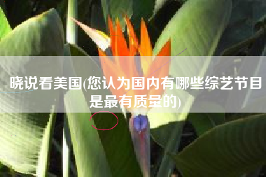 晓说看美国(您认为国内有哪些综艺节目是最有质量的)