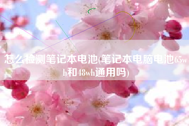 怎么检测笔记本电池(笔记本电脑电池65wh和48wh通用吗)