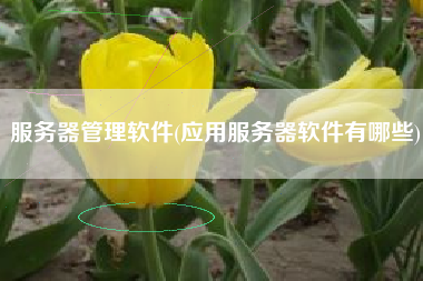 服务器管理软件(应用服务器软件有哪些)