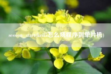 session_start(keil5怎么烧程序到单片机)