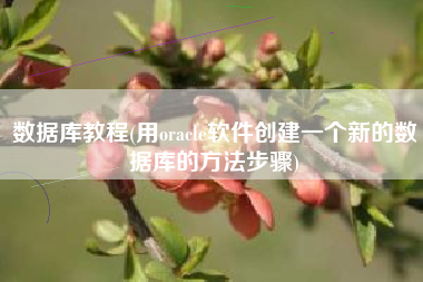数据库教程(用oracle软件创建一个新的数据库的方法步骤)