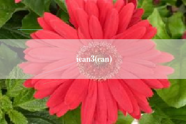ican3(can)