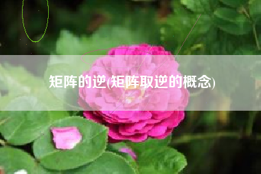 矩阵的逆(矩阵取逆的概念)
