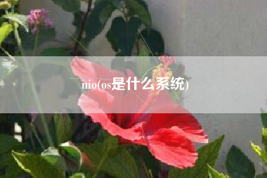 nio(os是什么系统)