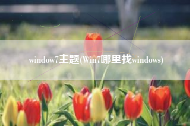window7主题(Win7哪里找windows)