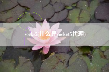 socks5(什么是socket5代理)