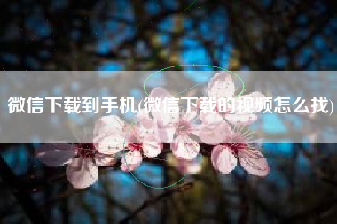 微信下载到手机(微信下载的视频怎么找)