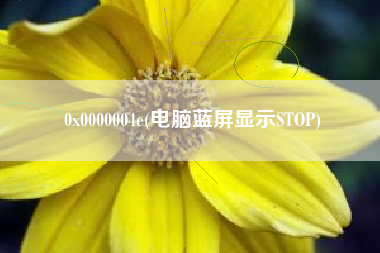 0x0000004e(电脑蓝屏显示STOP)