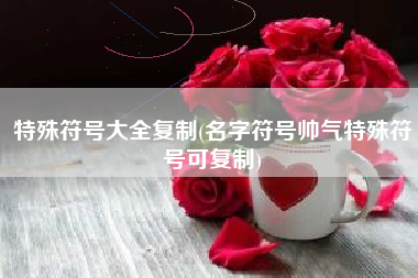 特殊符号大全复制(名字符号帅气特殊符号可复制)