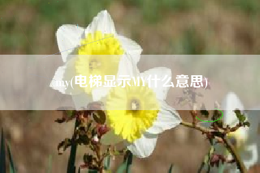 详细阅读:my(电梯显示MY什么意思) my(电梯显示MY什么意思)