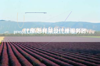proxy代理(怎样架设代理服务器)