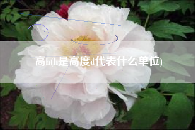 高h(h是高度d代表什么单位)
