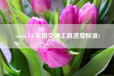 moto k1(常用交通工具速度标准)