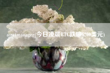 assetmanager(今日凌晨BTC跌破5200美元)