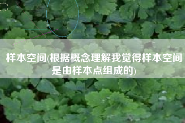 样本空间(根据概念理解我觉得样本空间是由样本点组成的)
