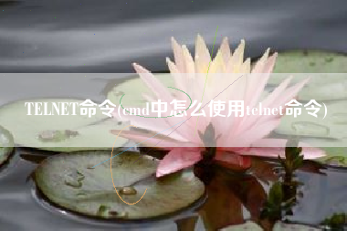TELNET命令(cmd中怎么使用telnet命令)