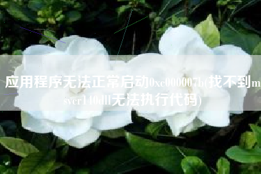 应用程序无法正常启动0xc000007b(找不到msvcr140dll无法执行代码)