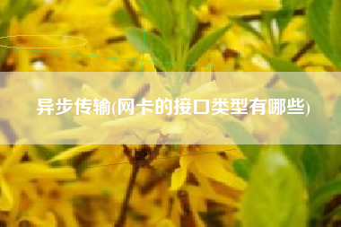 详细阅读:异步传输(网卡的接口类型有哪些) 异步传输(网卡的接口类型有哪些)