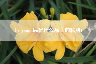 lcn(rxmotlcn是什么品牌的轮胎)