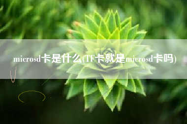 microsd卡是什么(TF卡就是microsd卡吗)