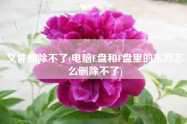 文件删除不了(电脑E盘和F盘里的东西怎么删除不了)