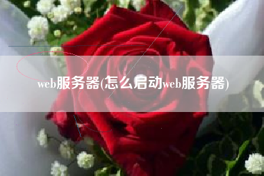 web服务器(怎么启动web服务器)