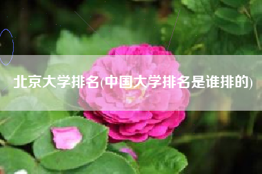 北京大学排名(中国大学排名是谁排的)