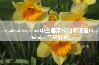 dropdownlist(aspnet中三层架构如何设置DropDownList三级联动)