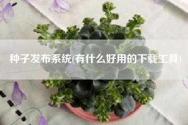 种子发布系统(有什么好用的下载工具)