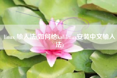 linux 输入法(如何给kalilinux安装中文输入法)