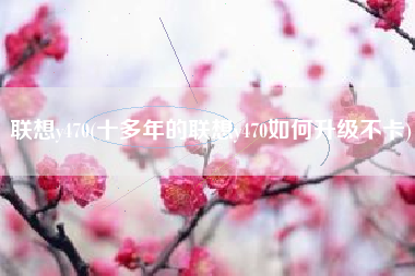 联想y470(十多年的联想y470如何升级不卡)