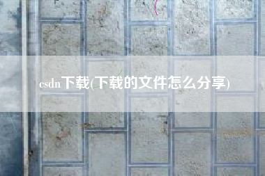 csdn下载(下载的文件怎么分享)