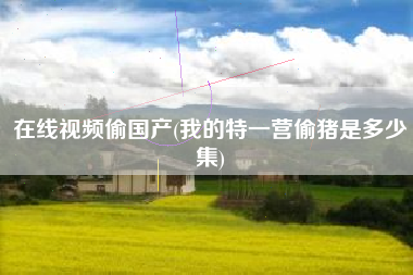 在线视频偷国产(我的特一营偷猪是多少集)