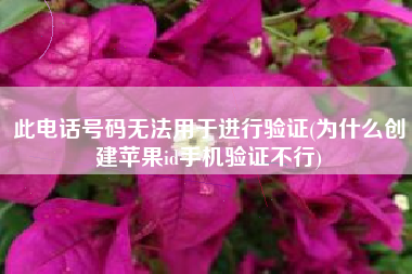 此电话号码无法用于进行验证(为什么创建苹果id手机验证不行)